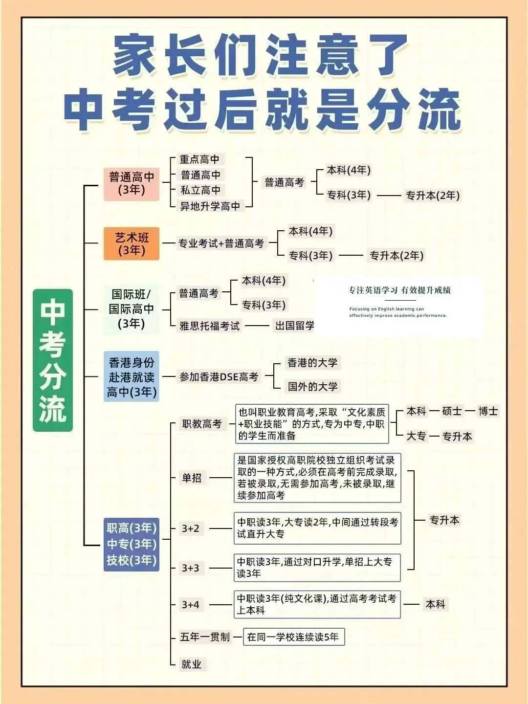 中考分流路径全解析 第1张