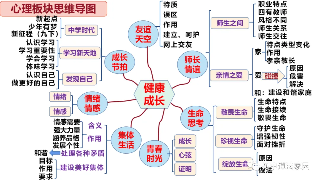 中考道德与法治心理、道德、法律、国情板块思维导图 第23张