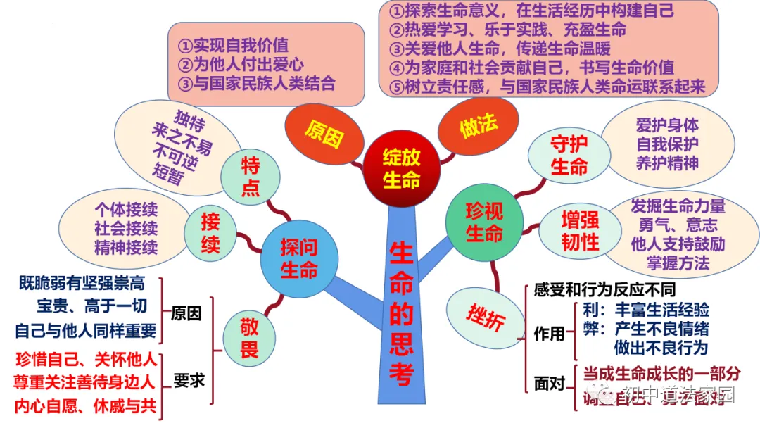 中考道德与法治心理、道德、法律、国情板块思维导图 第27张
