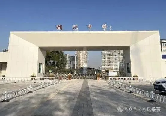 备课资料:安师联盟名师名卷中考一模语文卷(2)(3)(下载) 第3张