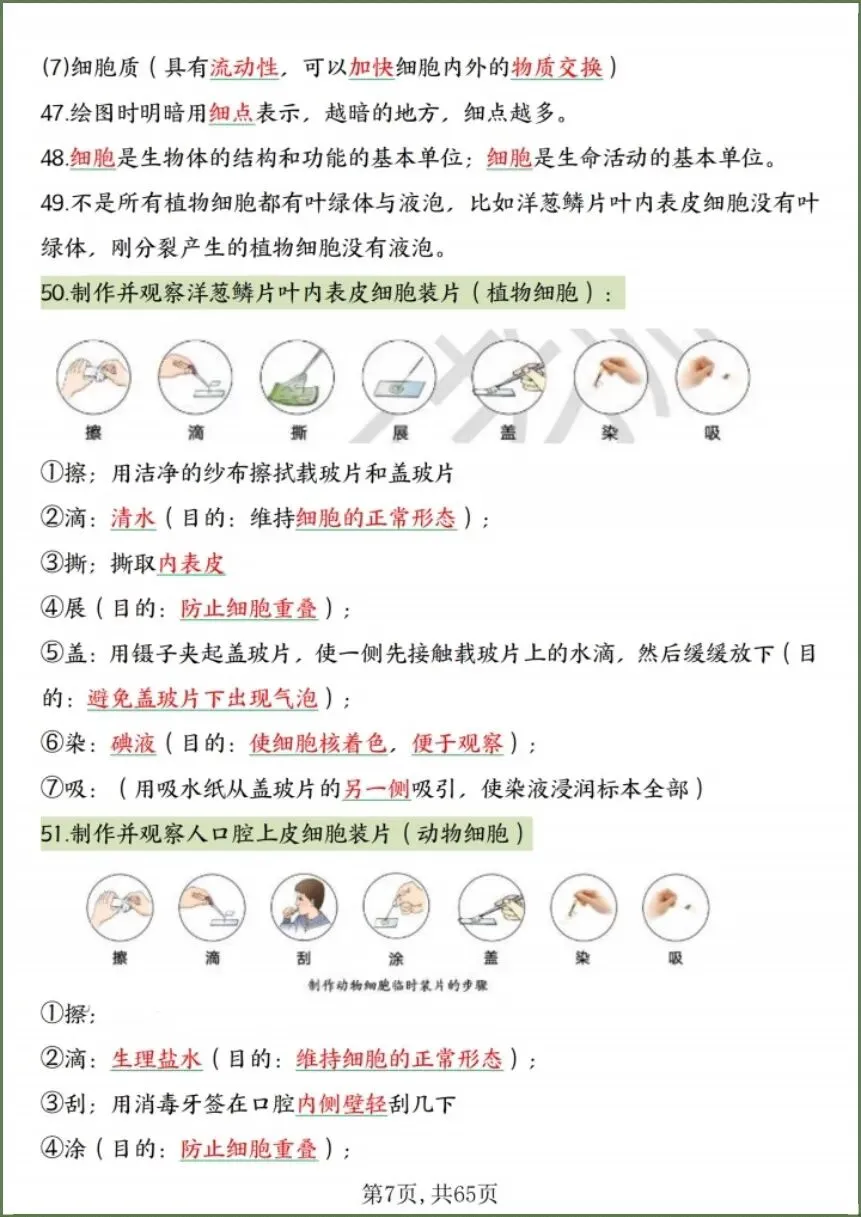 中考生物|2026春《生物会考》中考复习7-8年级高频知识点考点汇总(背诵+默写版)电子版可下载打印! 第9张