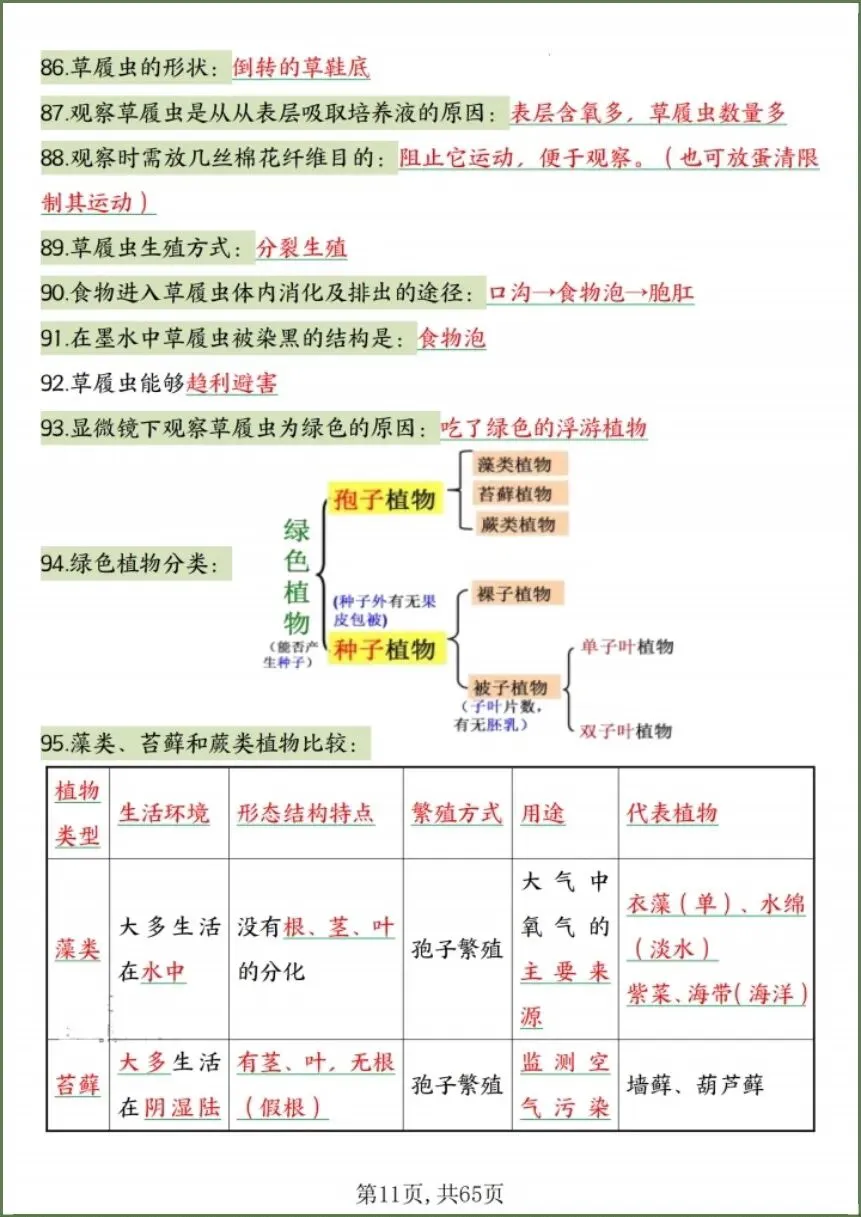 中考生物|2026春《生物会考》中考复习7-8年级高频知识点考点汇总(背诵+默写版)电子版可下载打印! 第13张
