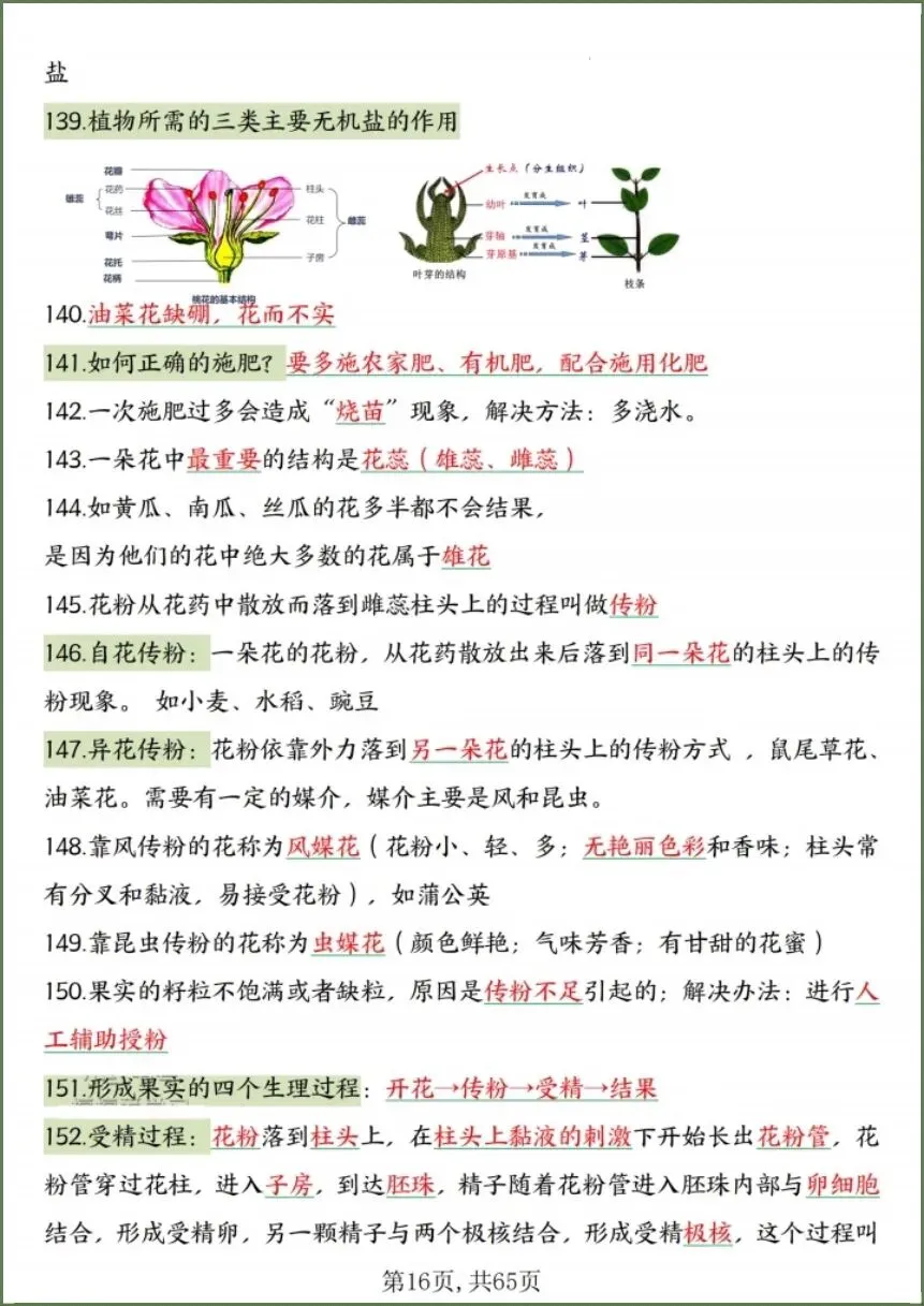 中考生物|2026春《生物会考》中考复习7-8年级高频知识点考点汇总(背诵+默写版)电子版可下载打印! 第17张