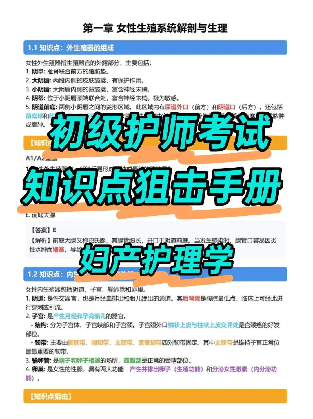 初级护师考试知识点手册,历年真题含答案解析【2010-2025】,五色笔记,考点知识点思维导图备考资料包考前十页纸,新大纲刷题软件题库-第5张图片-四季读书网