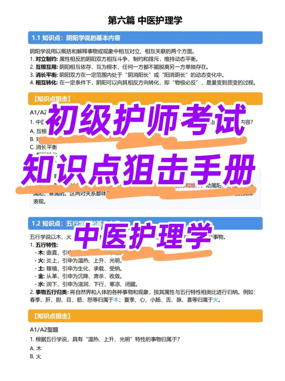 初级护师考试知识点手册,历年真题含答案解析【2010-2025】,五色笔记,考点知识点思维导图备考资料包考前十页纸,新大纲刷题软件题库-第21张图片-四季读书网