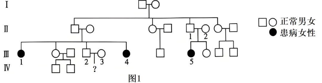黑龙江省实验中学2026届下学期高三联合模拟考试生物试题(解析版) 第7张