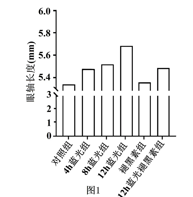 黑龙江省实验中学2026届下学期高三联合模拟考试生物试题(解析版) 第18张