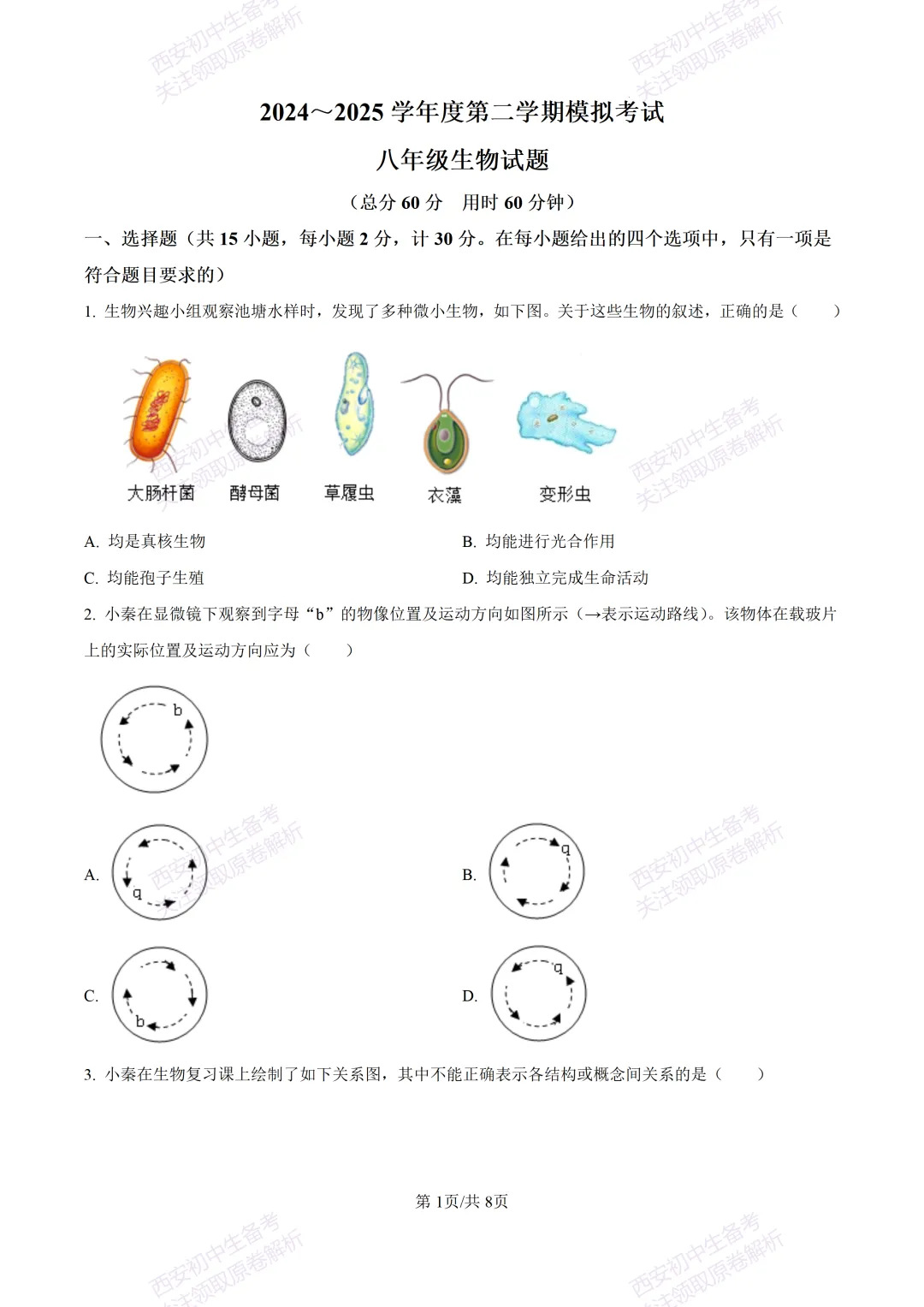 生物复习真题!西安2025中考模拟【高新一中】八年级四模考试,生物试题,试卷+完整版答案,免费下载! 第7张