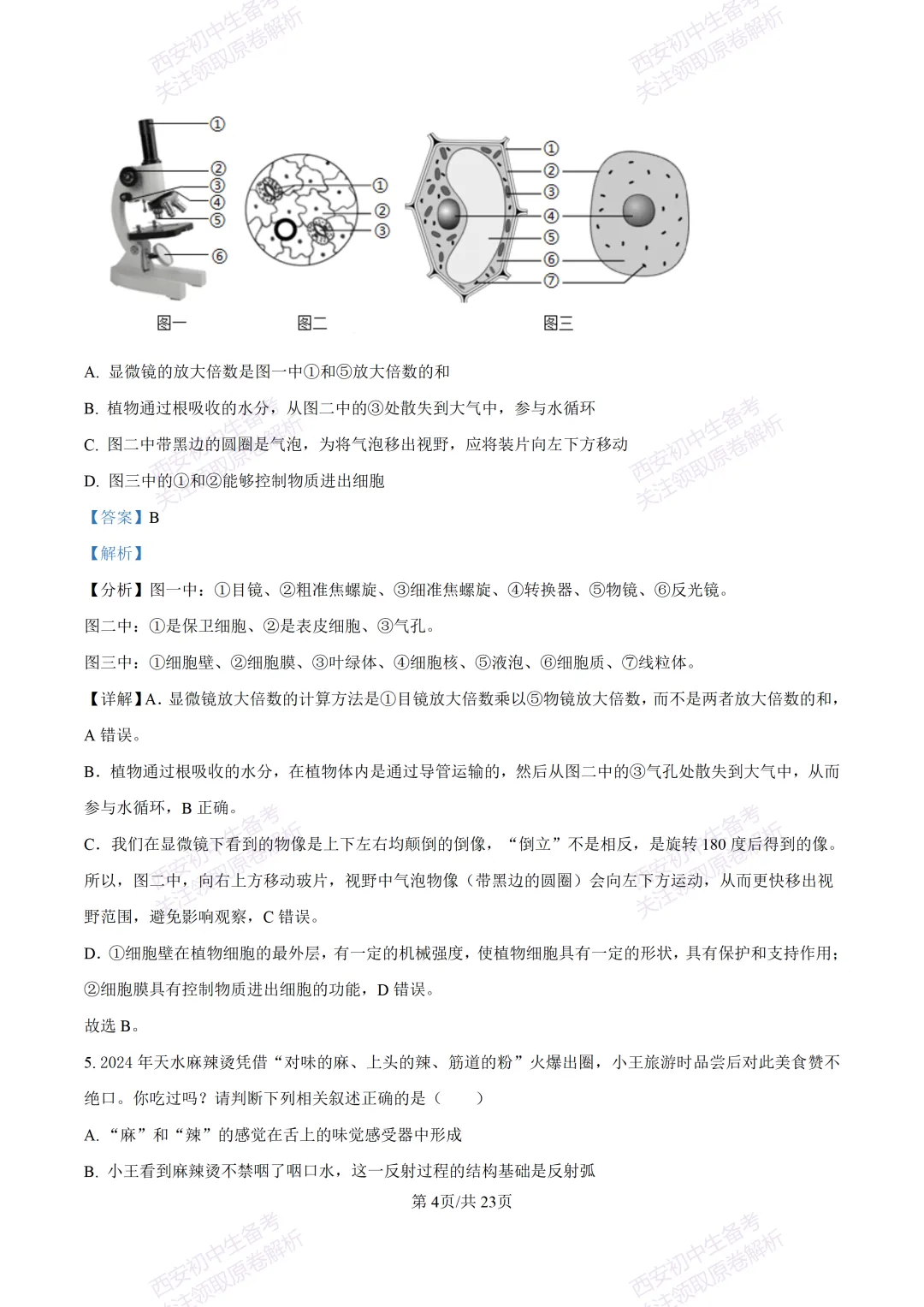生物复习真题!西安2025中考模拟【高新一中】八年级五模考试,生物试题,试卷+完整版答案,免费下载! 第22张