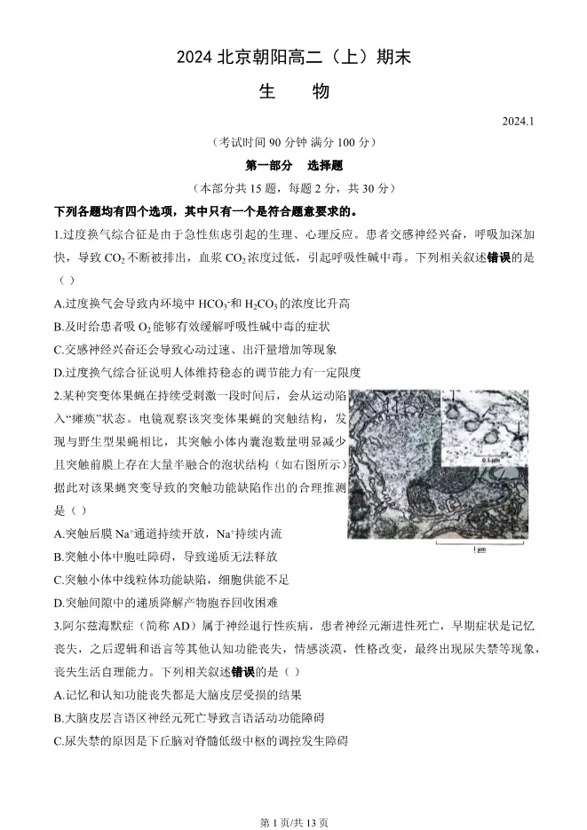 2024北京朝阳高二上册期末生物试卷(有答案)【可下载】 第1张