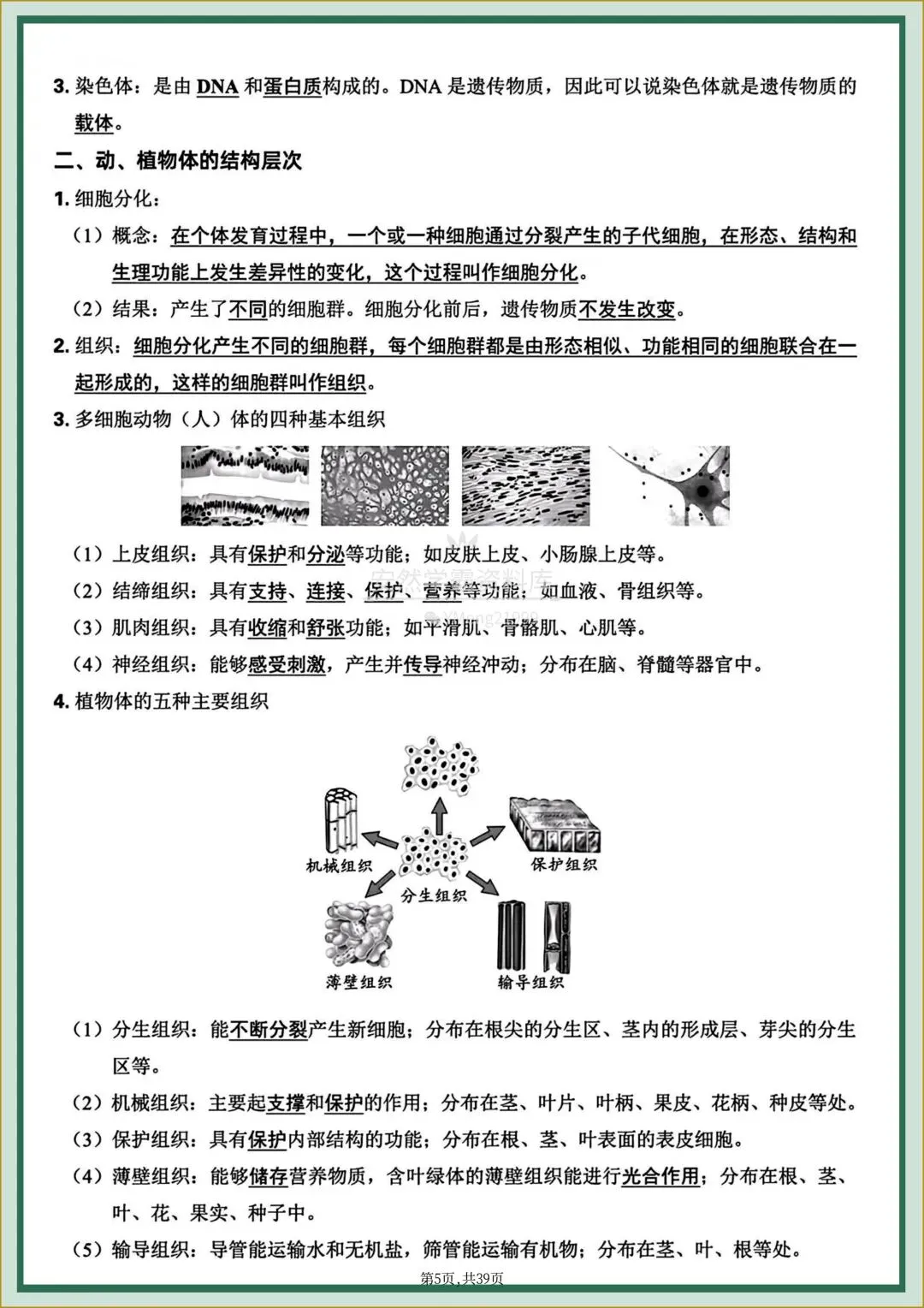 26年中考【26生物会考】全四册〈生物〉全册《核心知识点梳理+章节思维导图》,电子版可下载打印! 第8张 26年中考【26生物会考】全四册〈生物〉全册《核心知识点梳理+章节思维导图》,电子版可下载打印! 第8张