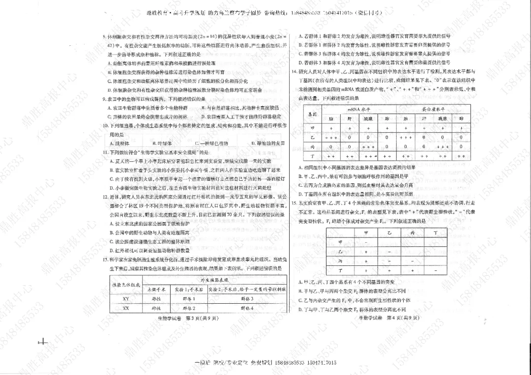 2026年高三一模生物试卷及参考答案(含解析) 第2张
