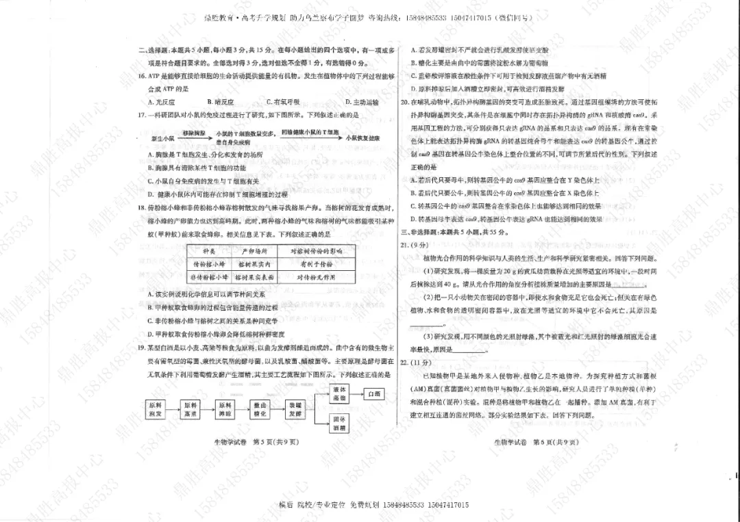 2026年高三一模生物试卷及参考答案(含解析) 第3张