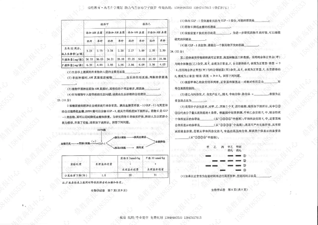 2026年高三一模生物试卷及参考答案(含解析) 第4张
