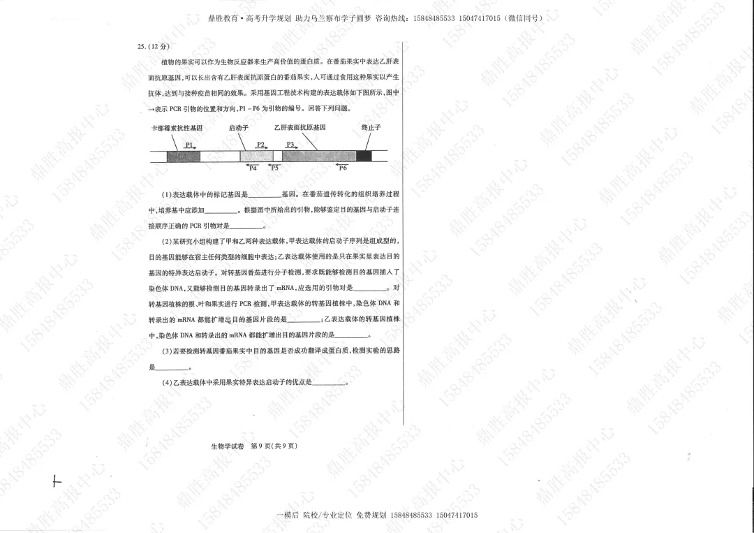 2026年高三一模生物试卷及参考答案(含解析) 第5张