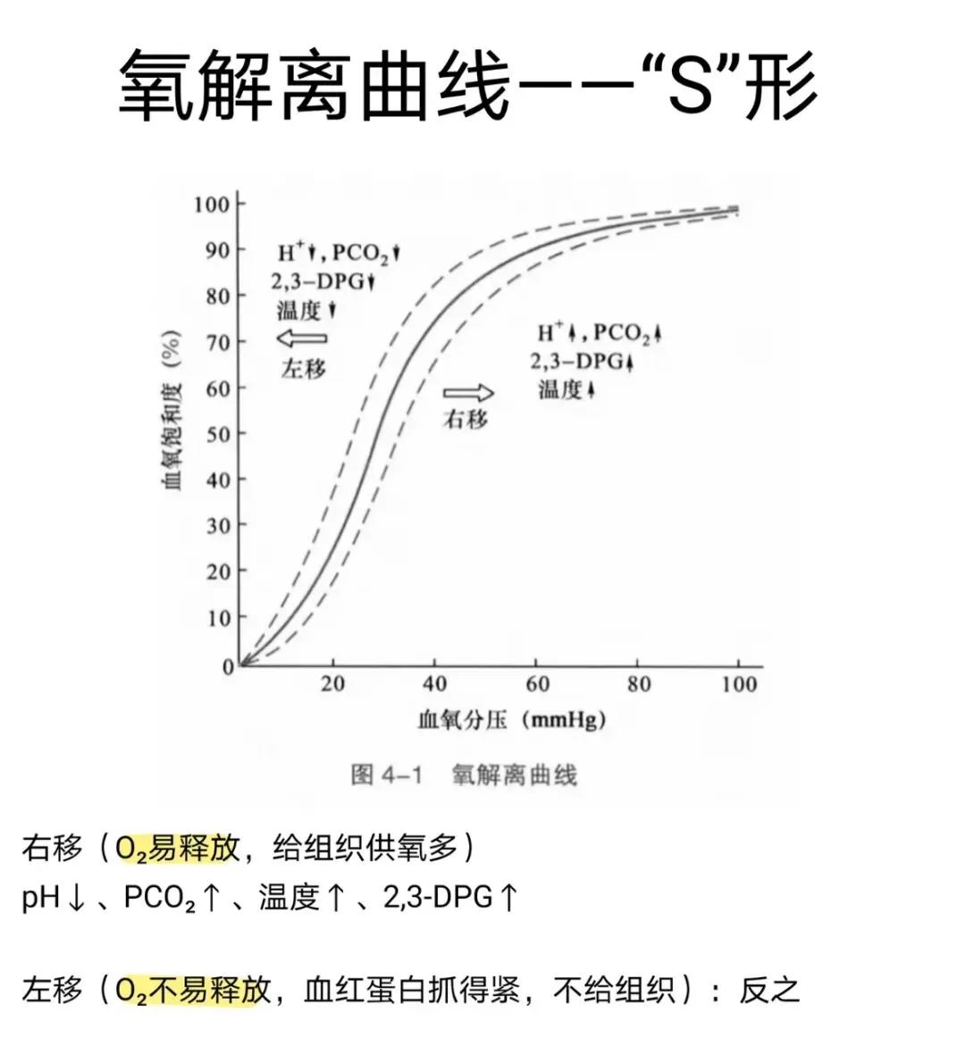 2026医疗事业编|医学基础知识真题(3月16日) 第1张