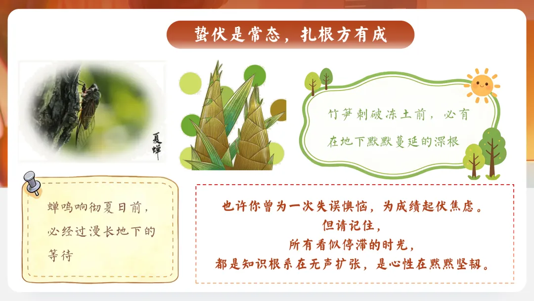 【初三九年级中考百日誓师主题班会ppt】:以春之名,共赴百日之约(内附课件资料)-第9张图片-四季读书网 【初三九年级中考百日誓师主题班会ppt】:以春之名,共赴百日之约(内附课件资料)-第9张图片-四季读书网