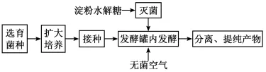 高考真题‖2025高考生物学真题分类汇编专题十五之03 发酵工程及其应用 第2张
