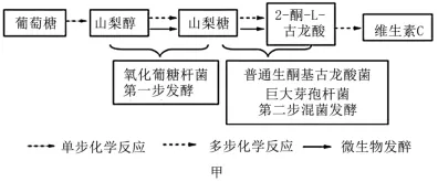 高考真题‖2025高考生物学真题分类汇编专题十五之03 发酵工程及其应用 第3张