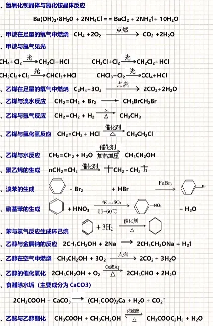 中考正悄悄“偏向”有这个能力的孩子! 第62张