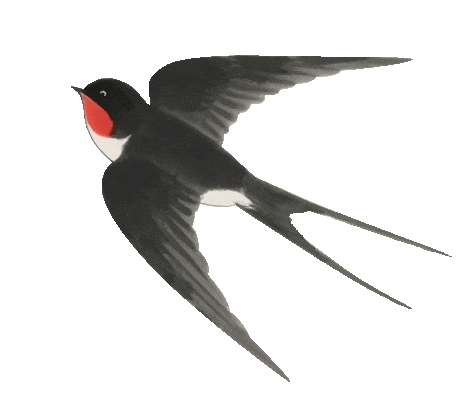 壮志凌云赴中考 青春逐梦正当时--杨林镇初级中学2026年中考誓师大会 第47张