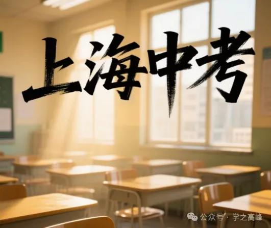 604 上海中考数学压轴题——美妙的旋转 第4张