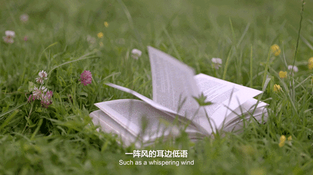 中考阅读 | 留白之美 第3张