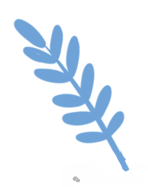 深圳中考一类自主招生简历如何填写,赠送简历模板!-第4张图片-四季读书网