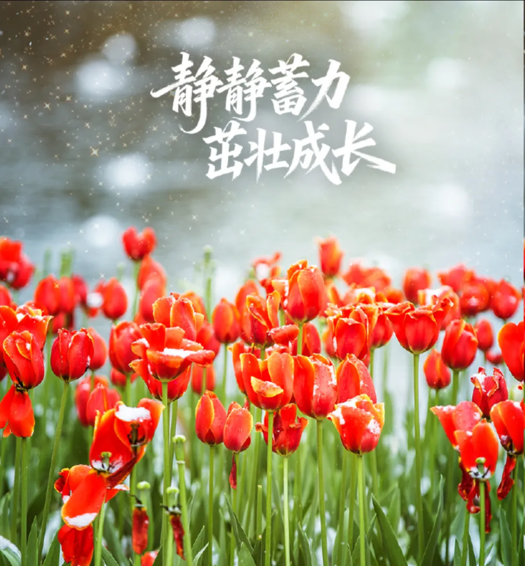 【真题速判】专题四十七 七类特殊主体责任(一)——答案即是复习笔记-第1张图片-四季读书网
