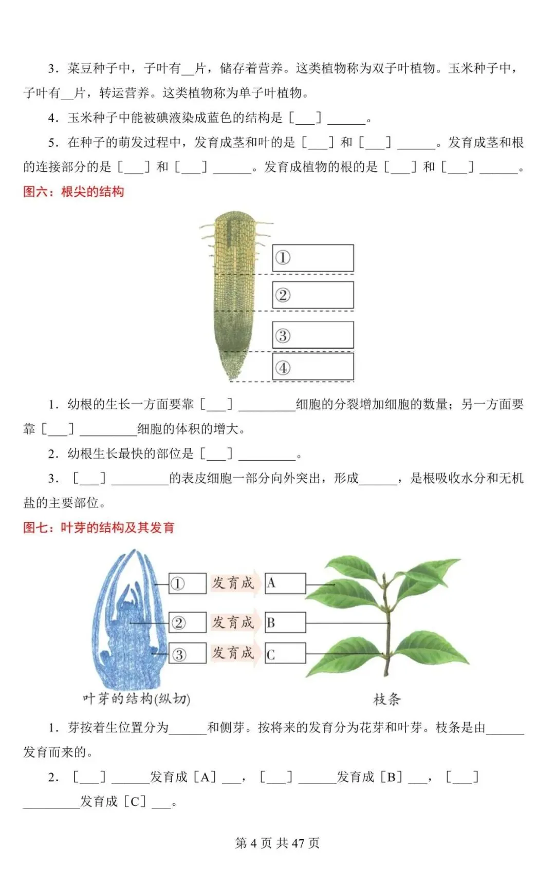 生物会考|2026中考生物会考必记课本彩色母图(填图练习),电子版可下载打印! 第4张 生物会考|2026中考生物会考必记课本彩色母图(填图练习),电子版可下载打印! 第4张