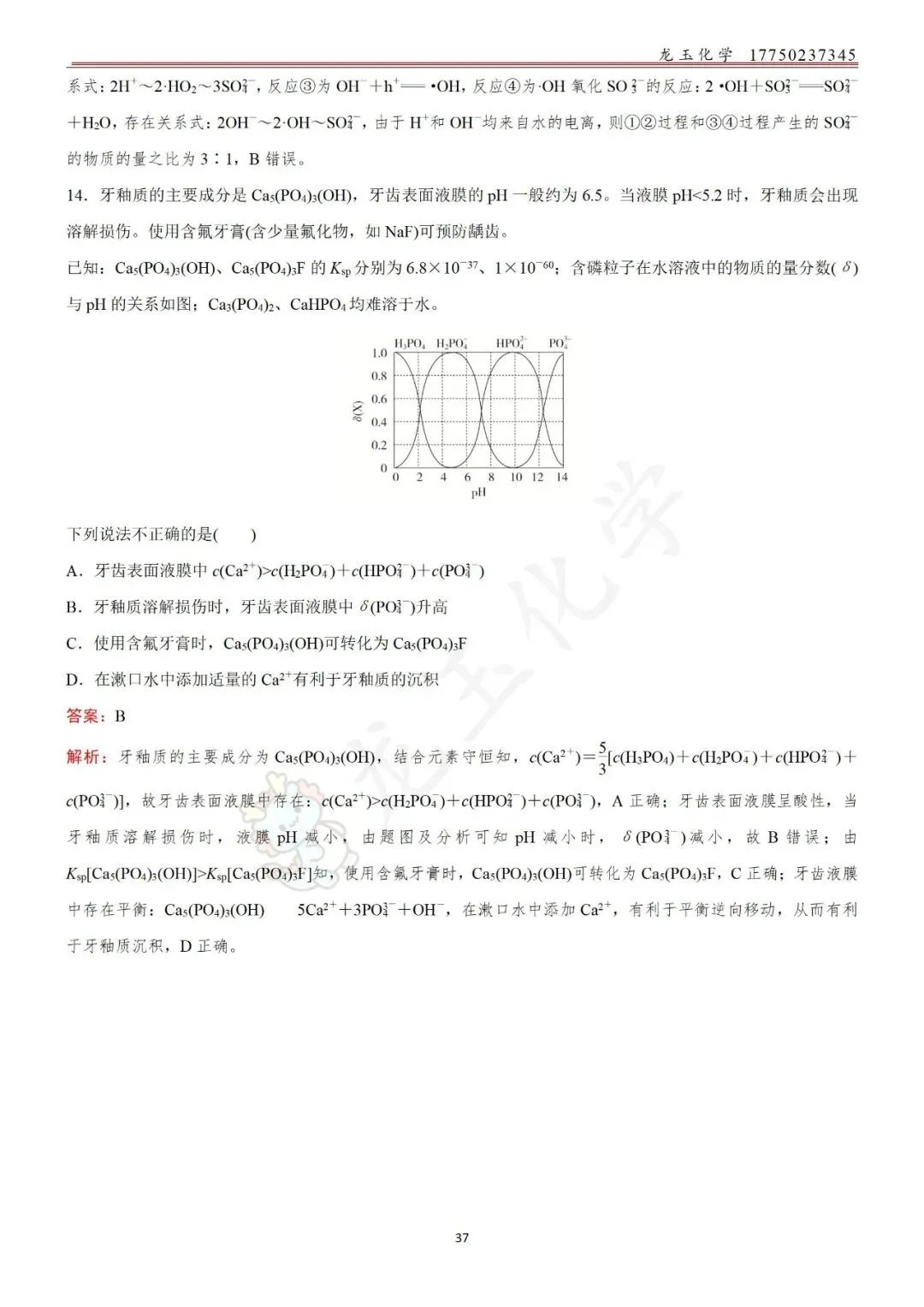 高考选择限时练真题 解析版-第37张图片-四季读书网