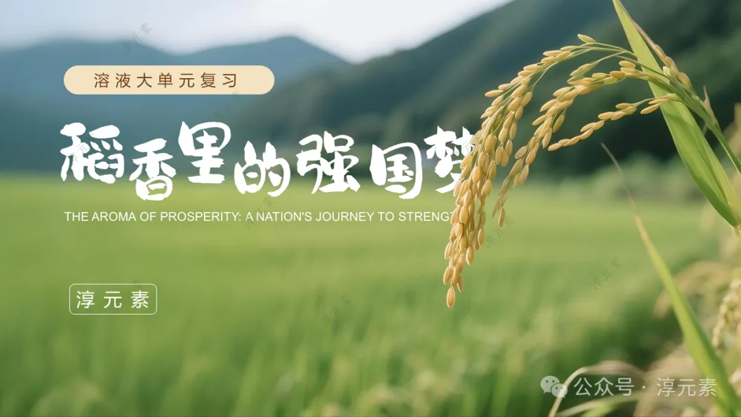 中考复习专题:稻香里的强国梦(溶液大单元复习)-第6张图片-四季读书网