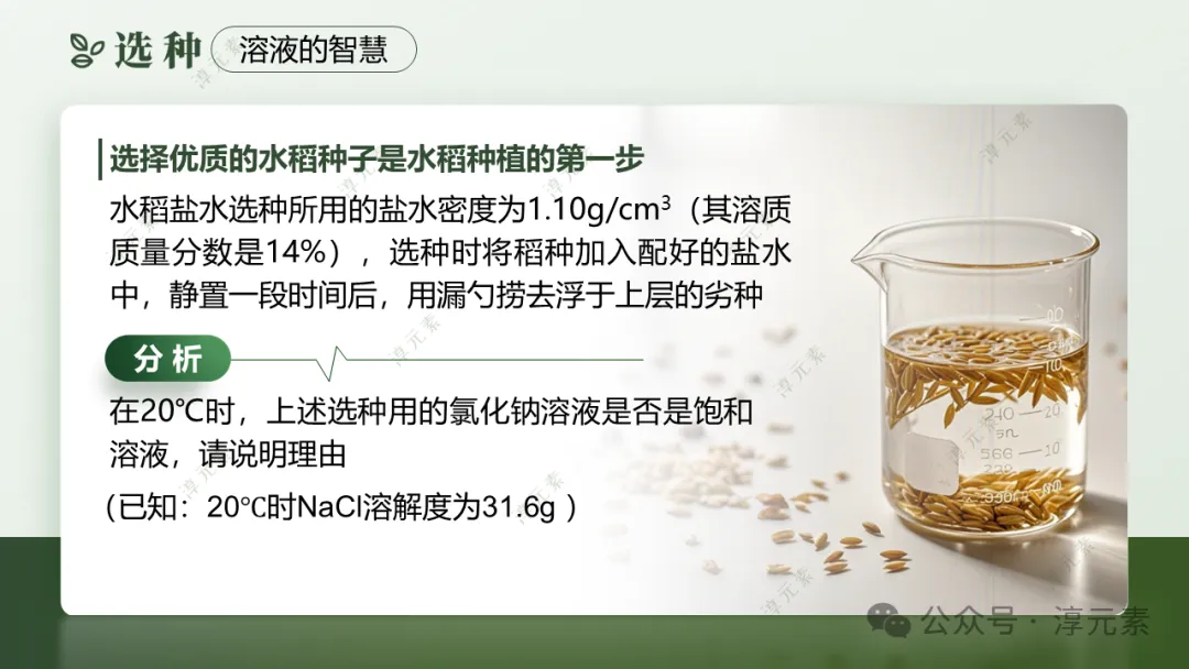 中考复习专题:稻香里的强国梦(溶液大单元复习)-第8张图片-四季读书网