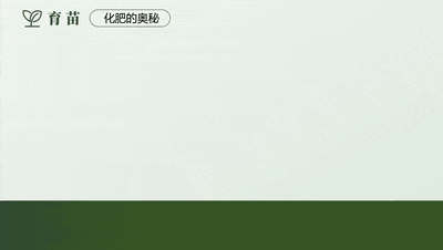中考复习专题:稻香里的强国梦(溶液大单元复习)-第11张图片-四季读书网