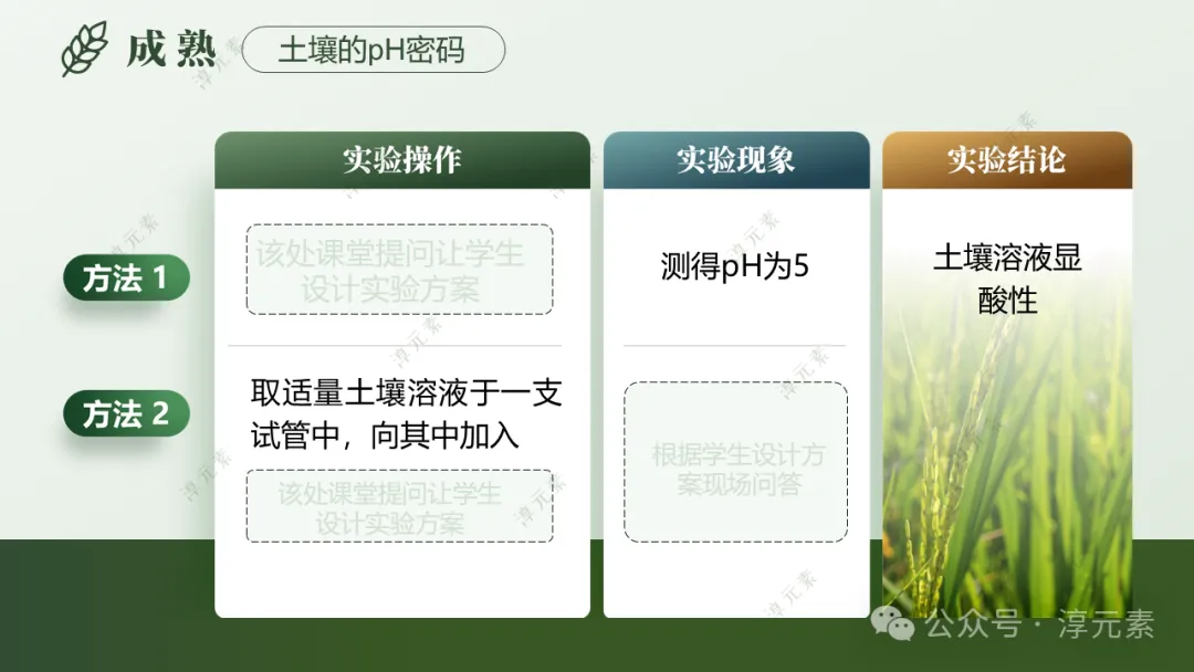 中考复习专题:稻香里的强国梦(溶液大单元复习)-第15张图片-四季读书网