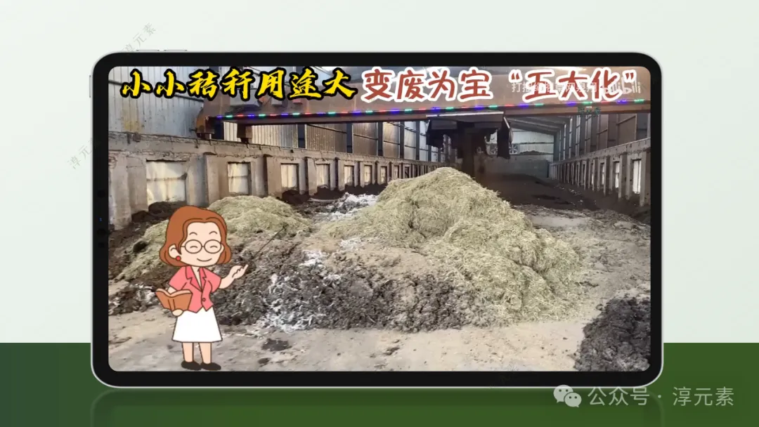 中考复习专题:稻香里的强国梦(溶液大单元复习)-第18张图片-四季读书网