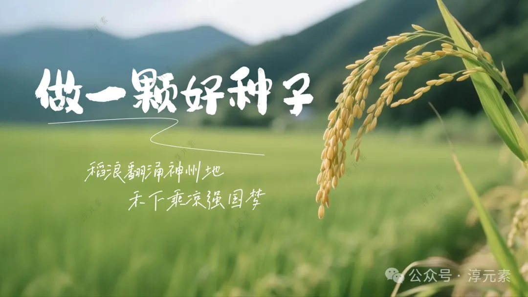 中考复习专题:稻香里的强国梦(溶液大单元复习)-第26张图片-四季读书网