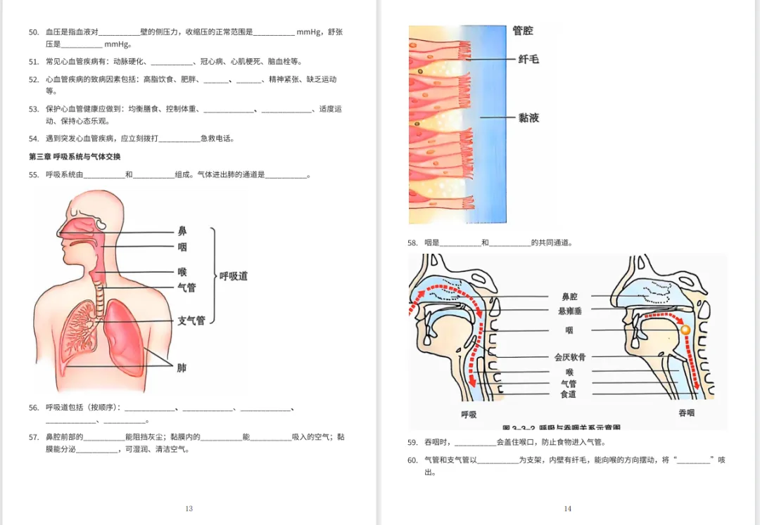 冲刺中考・回归教材・基础必刷||初中生物教材原文填空全册(冀少版新版全4册)可直接打印-第10张图片-四季读书网