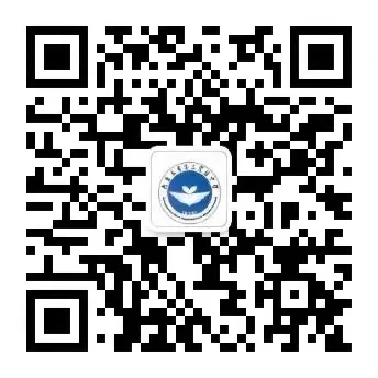 中考护航践初心,良师领航育新苗||刘玲玲老师:以英文筑梦桥,以陪伴赴 第9张
