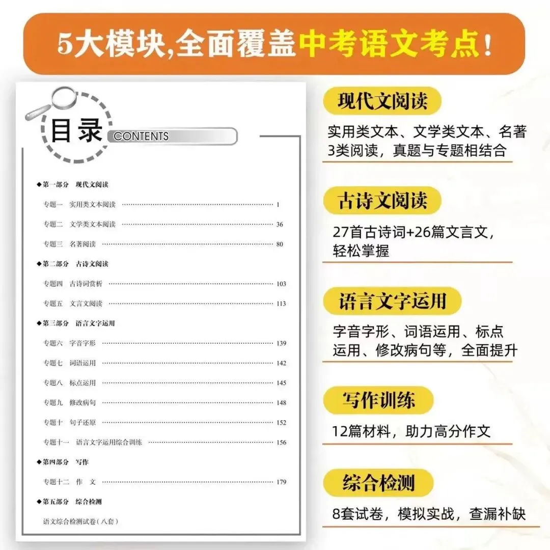 2026新版武汉中考语文专题总复习《天下中考》(正文+试卷+答案)武汉专用【可下载,无水印,含答案】 第7张