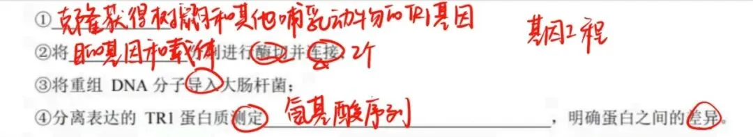 【重庆市】2025年高考生物基因工程真题讲解 第8张
