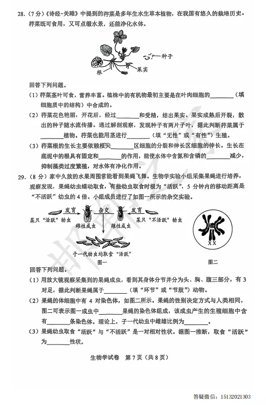 2025年河北省中考生物真题含答案) 第8张