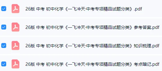 【学习资料】26版 中考 初中化学《一飞冲天·中考专项精品试题分类》 第2张