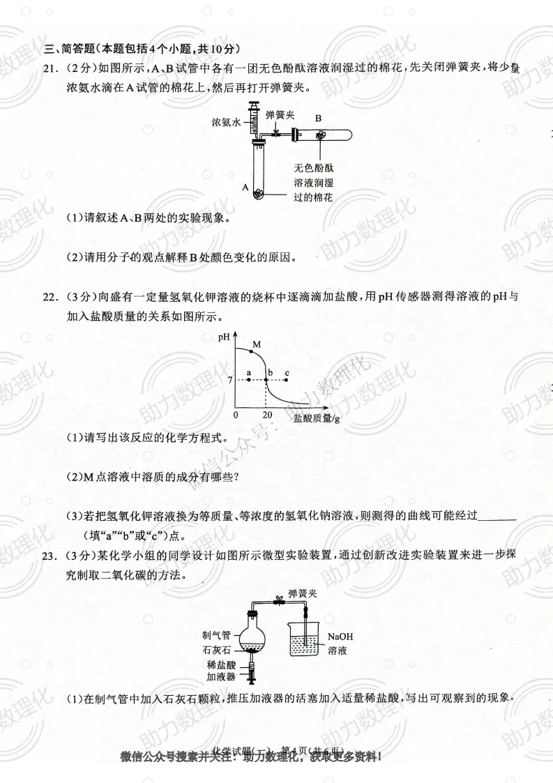 【周口模拟】2025年周口市郸城县中考一模试卷及答案(7科) 第11张