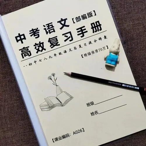 中考语文百日冲刺:精准提分策略 第2张