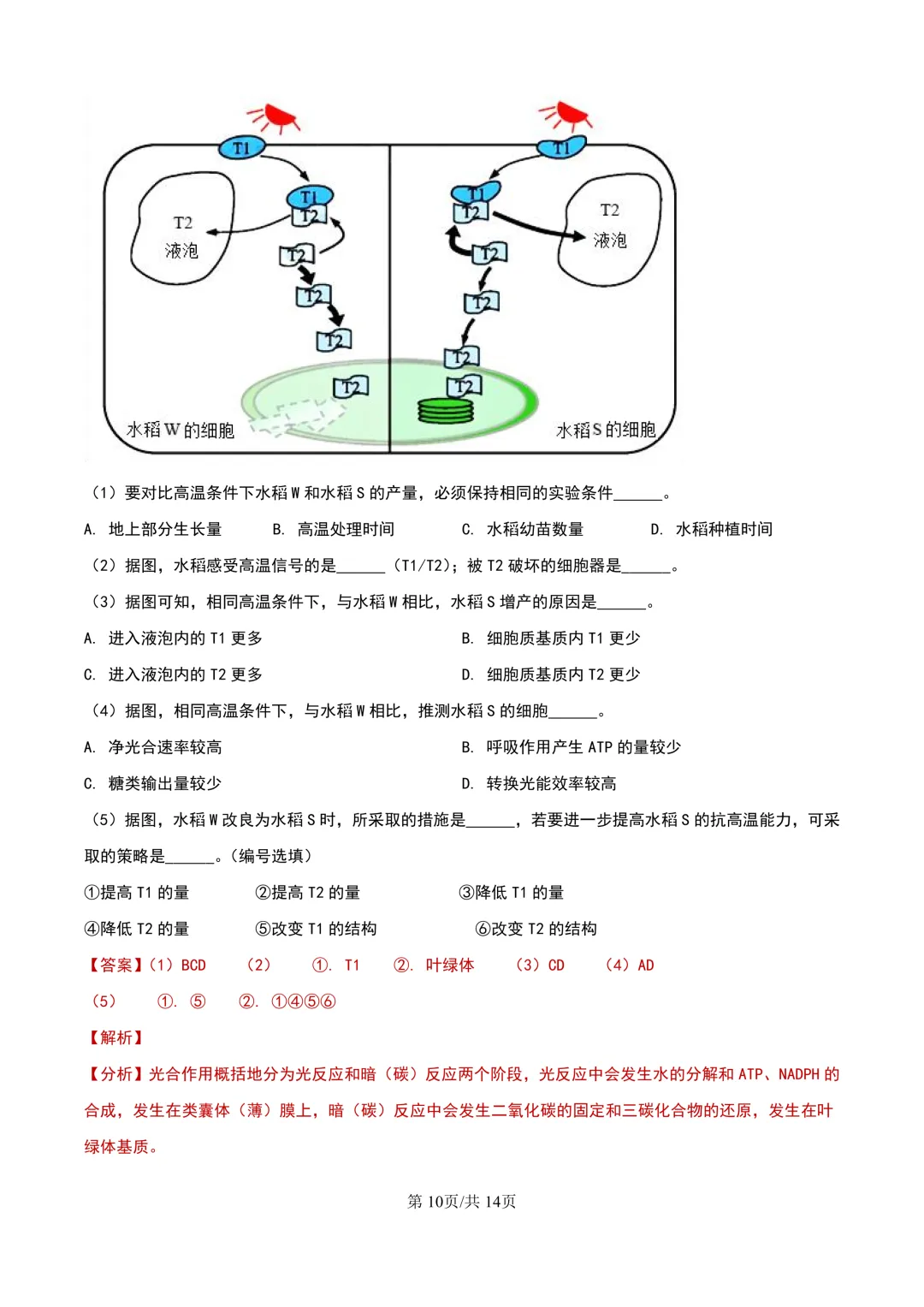 2024年上海等级考生物试卷分享(解析版) 第11张