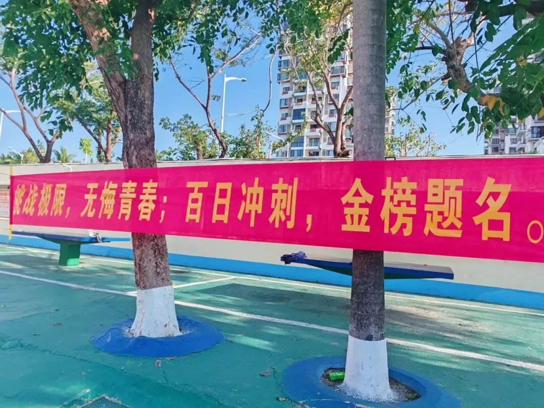 旗开得胜 | 三亚双品学校2026届中考百日誓师大会 第71张