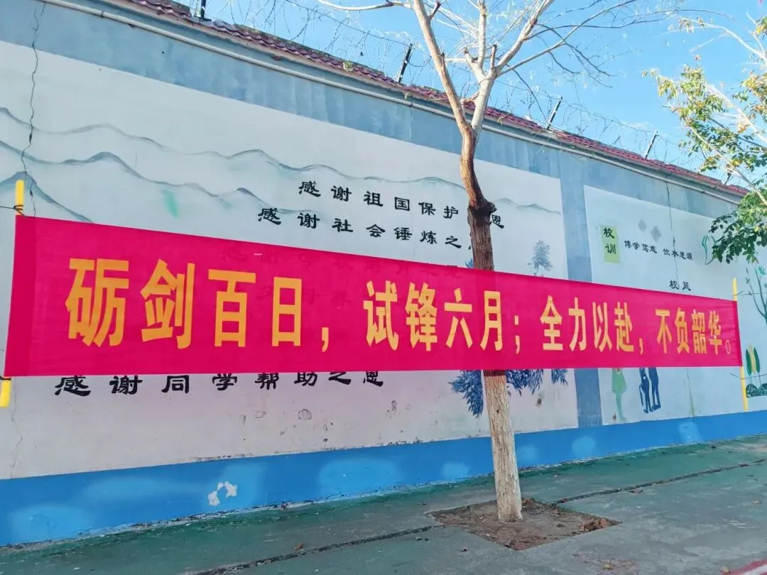 旗开得胜 | 三亚双品学校2026届中考百日誓师大会 第72张
