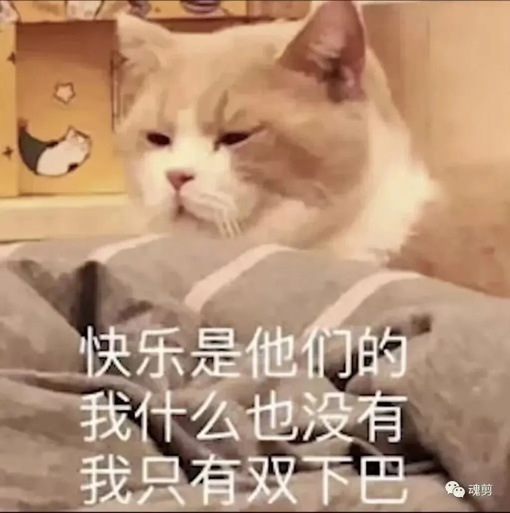 中考还没考,我已经在为三年后的高考掐人中了 第1张