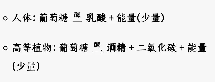 中考科学知识点复习5-第3张图片-四季读书网